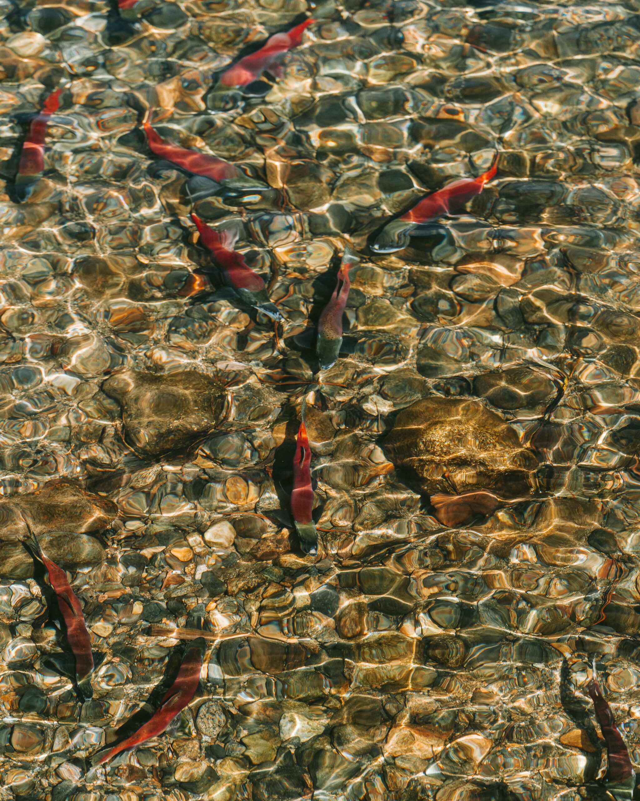Préserver la ressource en eau : en veillant à une gestion équilibrée et durable des nappes phréatiques, des cours d’eau et des zones humides. Préserver la ressource en eau : en veillant à une gestion équilibrée et durable des nappes phréatiques, des cours d’eau et des zones humides.